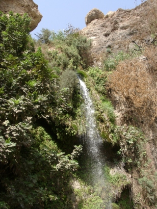 En Gedi - Wasserfall