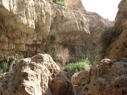 En Gedi - Schlucht
